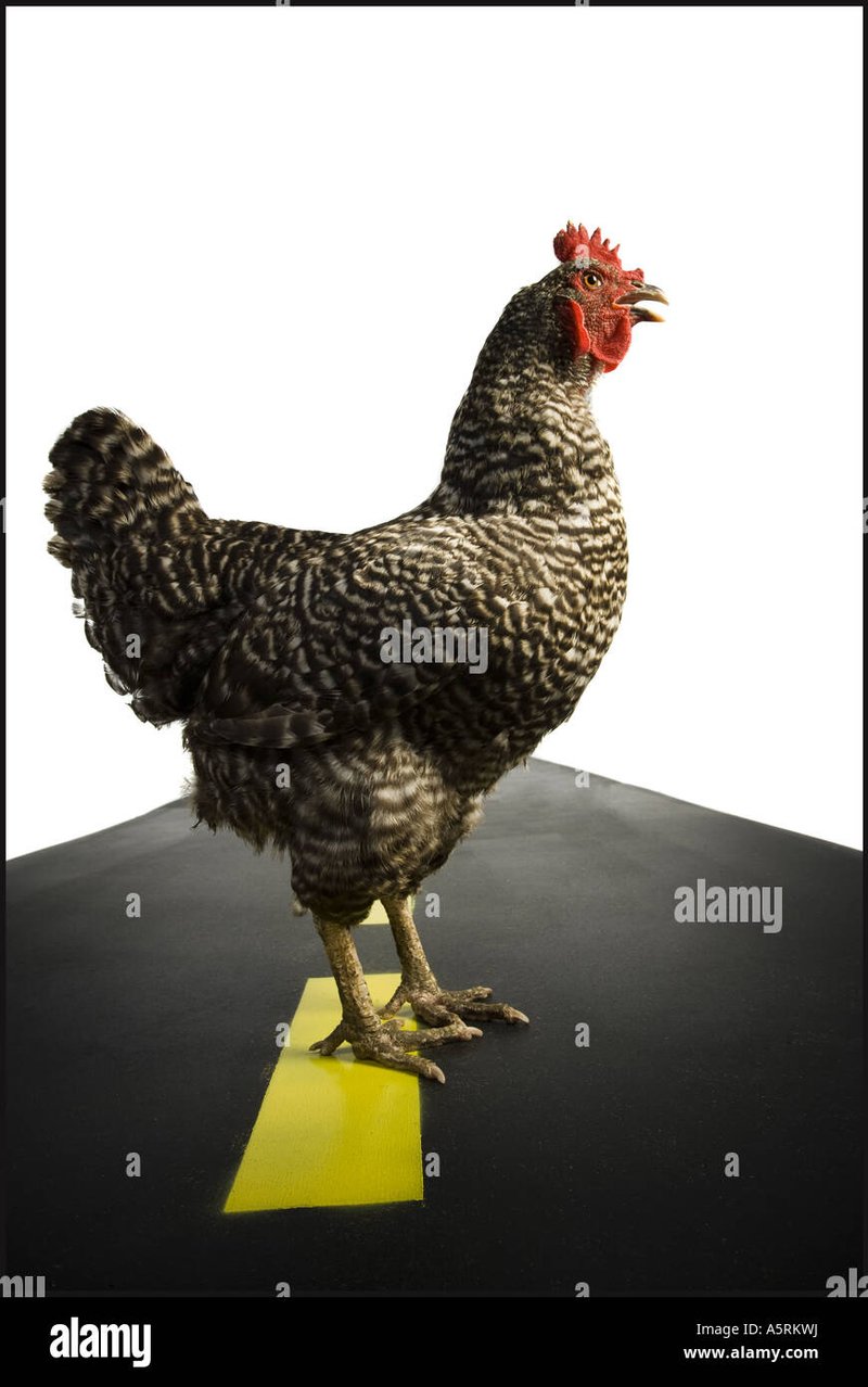 Een Uitgebreide Gids voor het Spel 